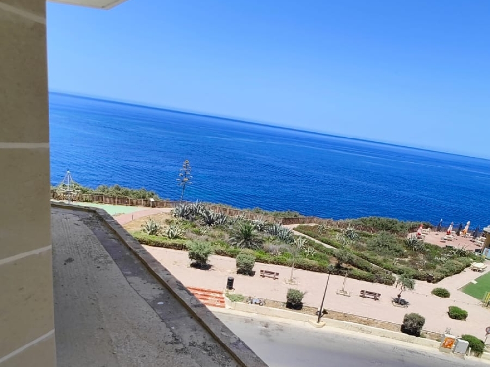 WhatsApp Image 2025-10-01 WhatsApp Image 2025-10-01