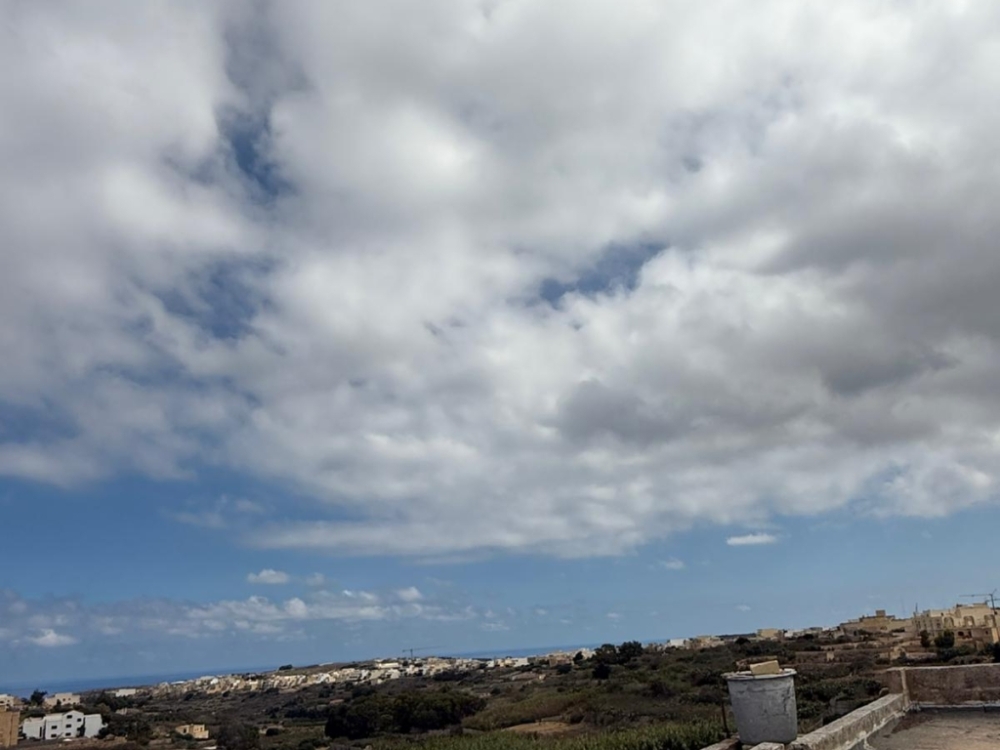 WhatsApp Image 2025-11-12 at 14.59.45