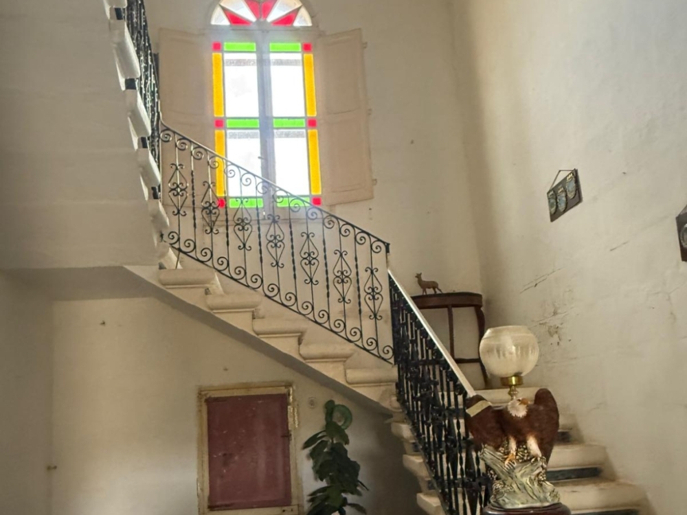 WhatsApp Image 2025-11-12 at 14.59.46