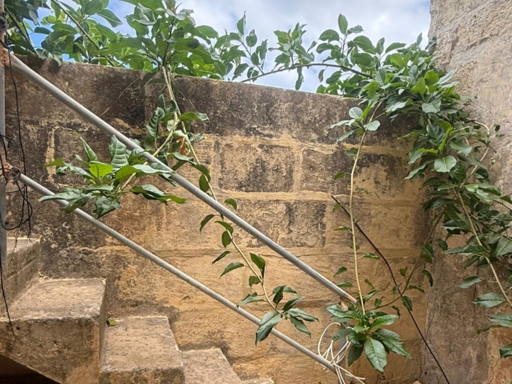 WhatsApp Image 2025-11-12 at 14.59.46 (1)