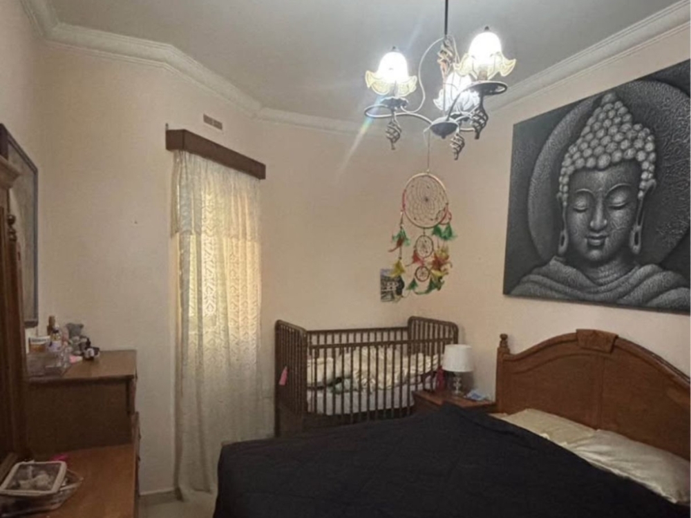 WhatsApp Image 2025-11-22 at 11.27.49