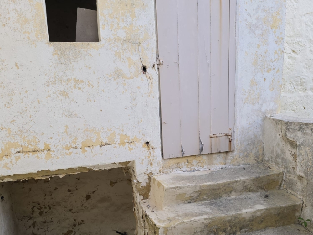 WhatsApp Image 2026-03-25 at 17.07.49