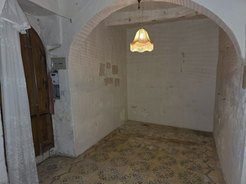 WhatsApp Image 2026-03-25 at 17.07.50pppppppp